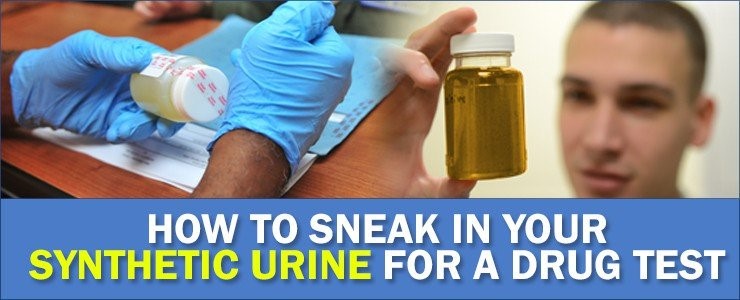 Synthetic Urine Women Kit Echo Terrace Lake Alfred FL